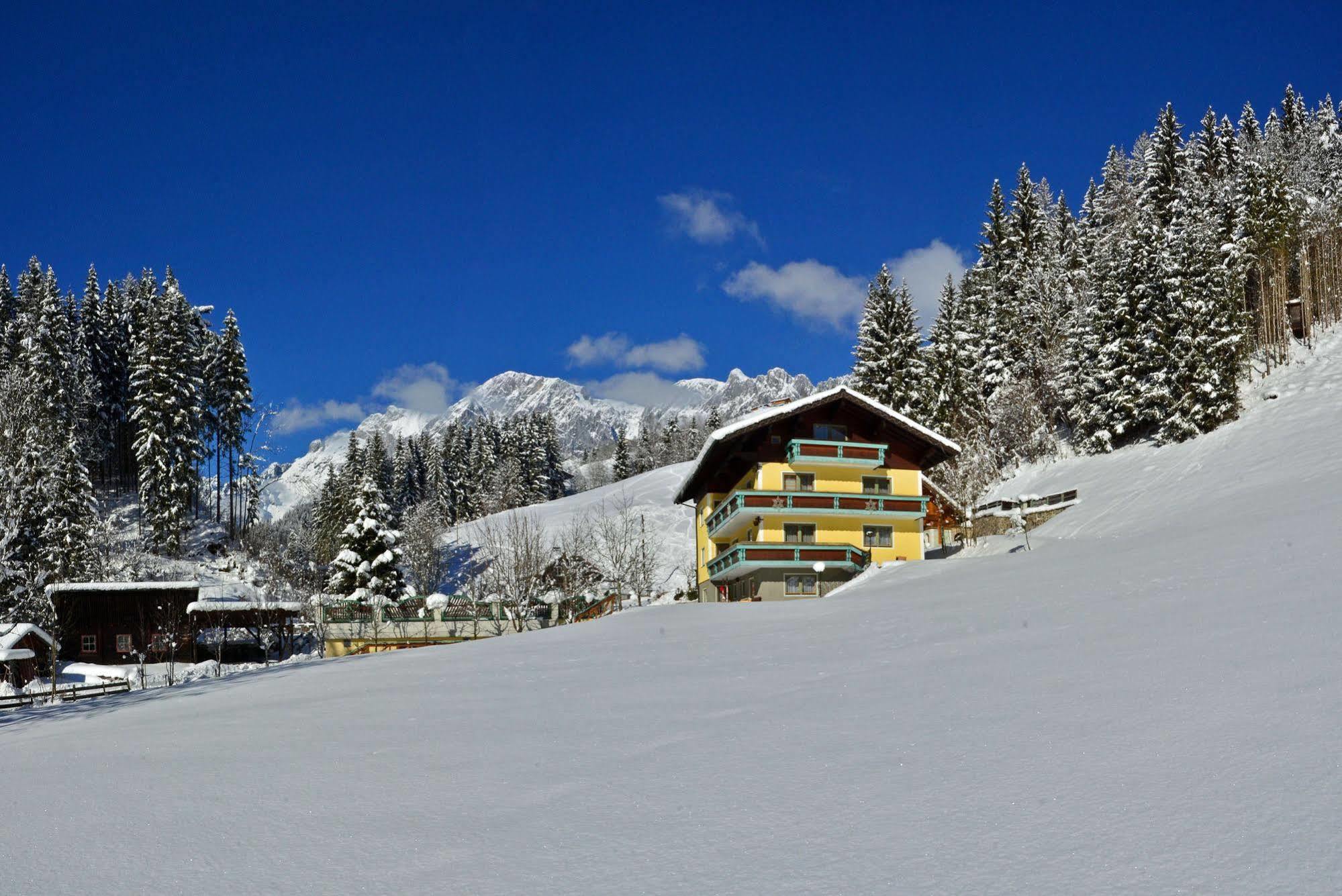 伊丽莎白住宿加早餐旅馆 Mühlbach am Hochkönig 外观 照片