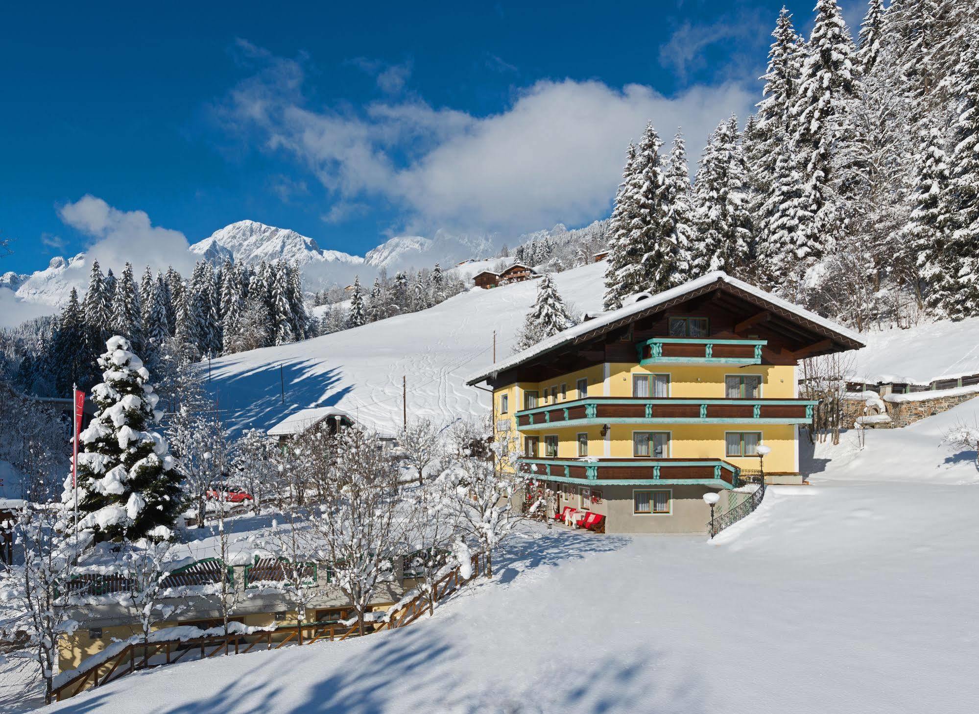 伊丽莎白住宿加早餐旅馆 Mühlbach am Hochkönig 外观 照片