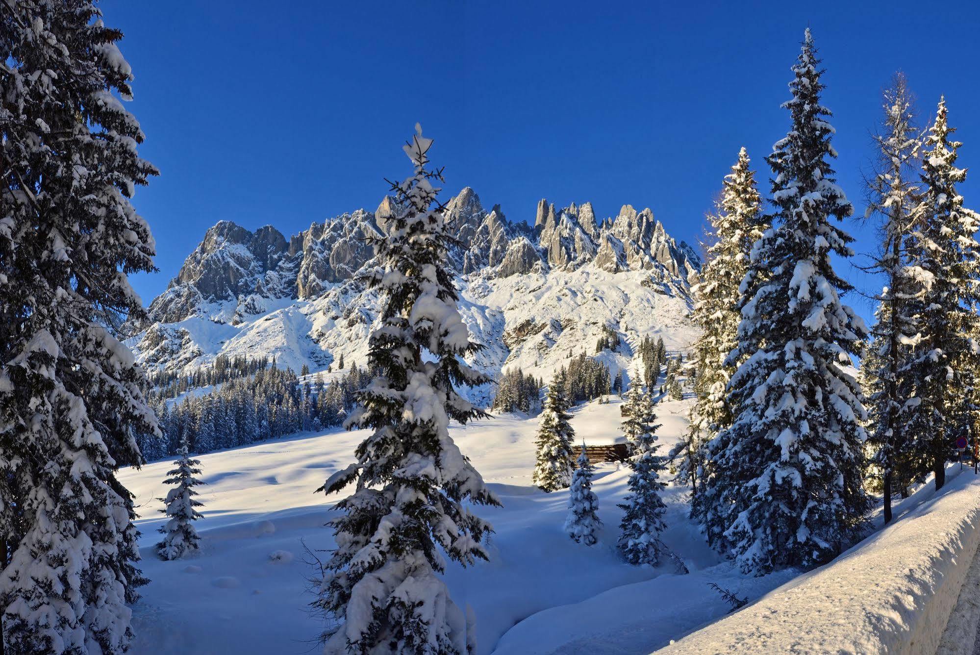 伊丽莎白住宿加早餐旅馆 Mühlbach am Hochkönig 外观 照片